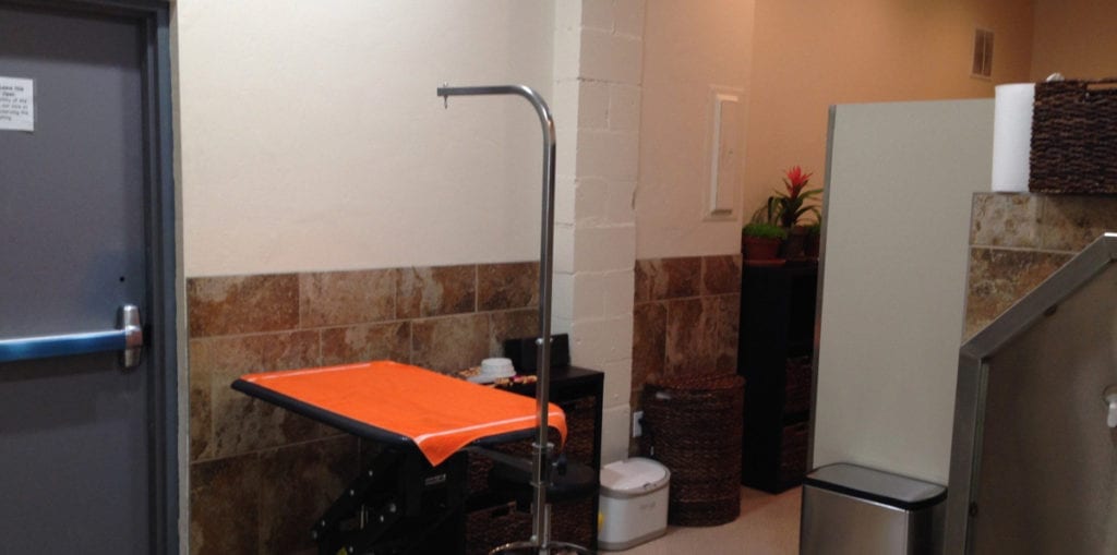 Chester Valley Veterinary Hospital Tour Anchorage, Alaska Veterinarian