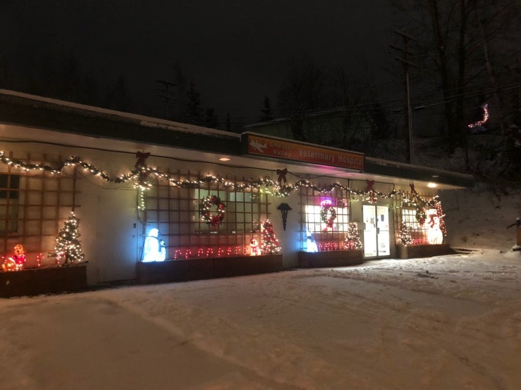 Chester Valley Veterinary Hospital Tour Anchorage, Alaska Veterinarian