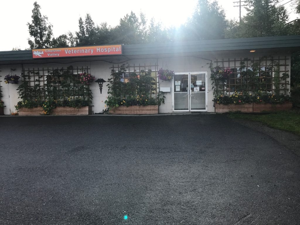 Chester Valley Veterinary Hospital Tour Anchorage, Alaska Veterinarian